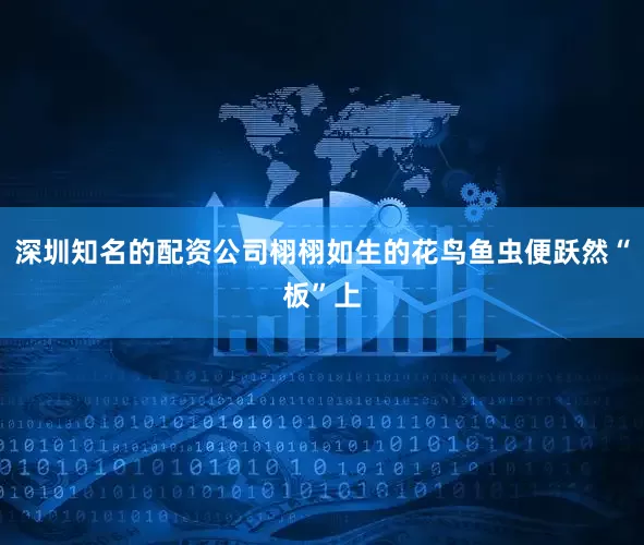 深圳知名的配资公司栩栩如生的花鸟鱼虫便跃然“板”上