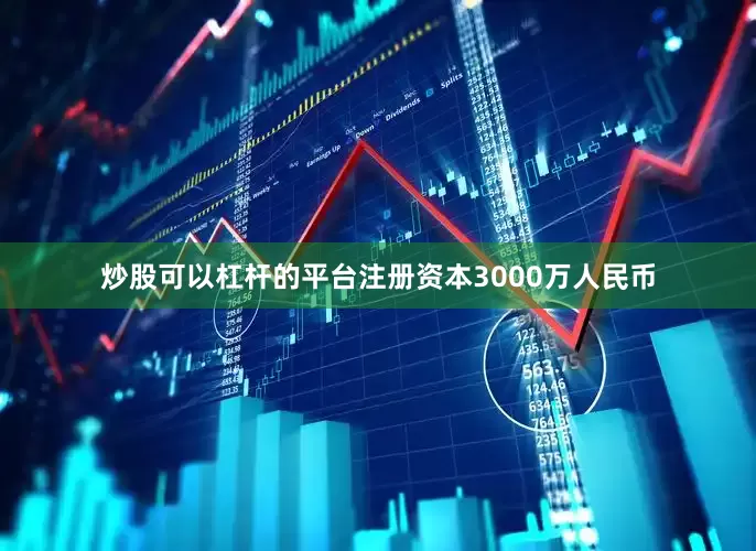 炒股可以杠杆的平台注册资本3000万人民币