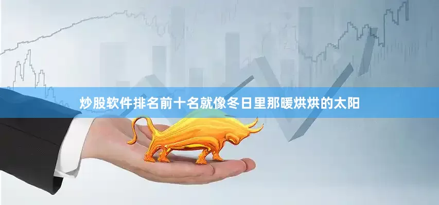 炒股软件排名前十名就像冬日里那暖烘烘的太阳