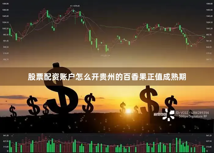 股票配资账户怎么开贵州的百香果正值成熟期